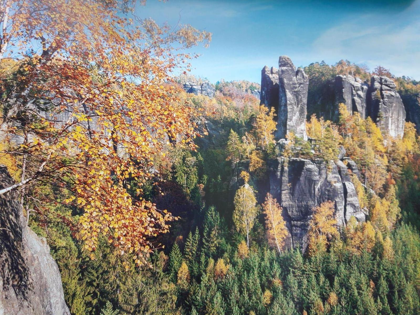 Ferienwohnung-Ritscher-In-Lichtenhain-2 Lichtenhain  エクステリア 写真