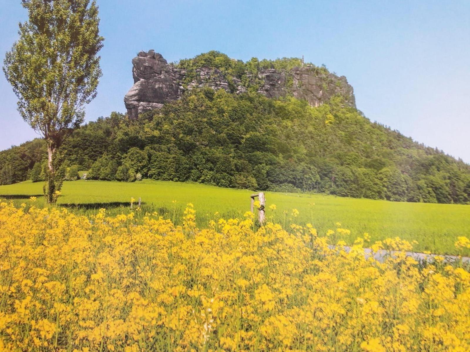 Ferienwohnung-Ritscher-In-Lichtenhain-2 Lichtenhain  エクステリア 写真
